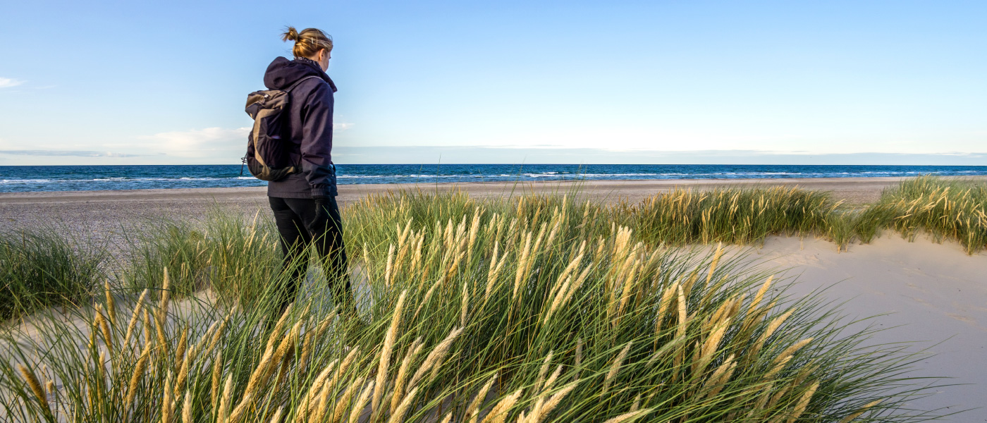 Ocean Shores visitor numbers appear to taper over holiday weekend   The  Daily World