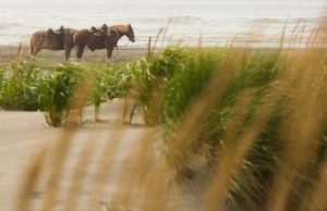 ocean city state park