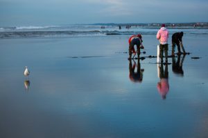 surf fishing