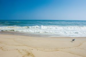A shoreline among Washington beaches.